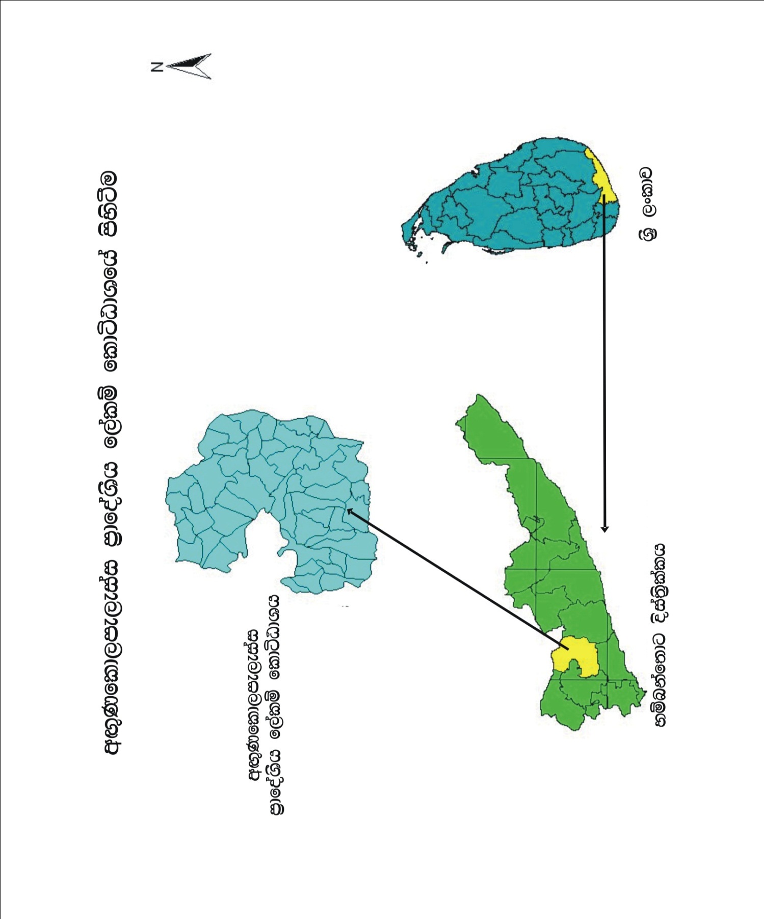 DS Map